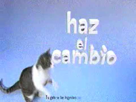 chimbote peru clima Comercial comida gato