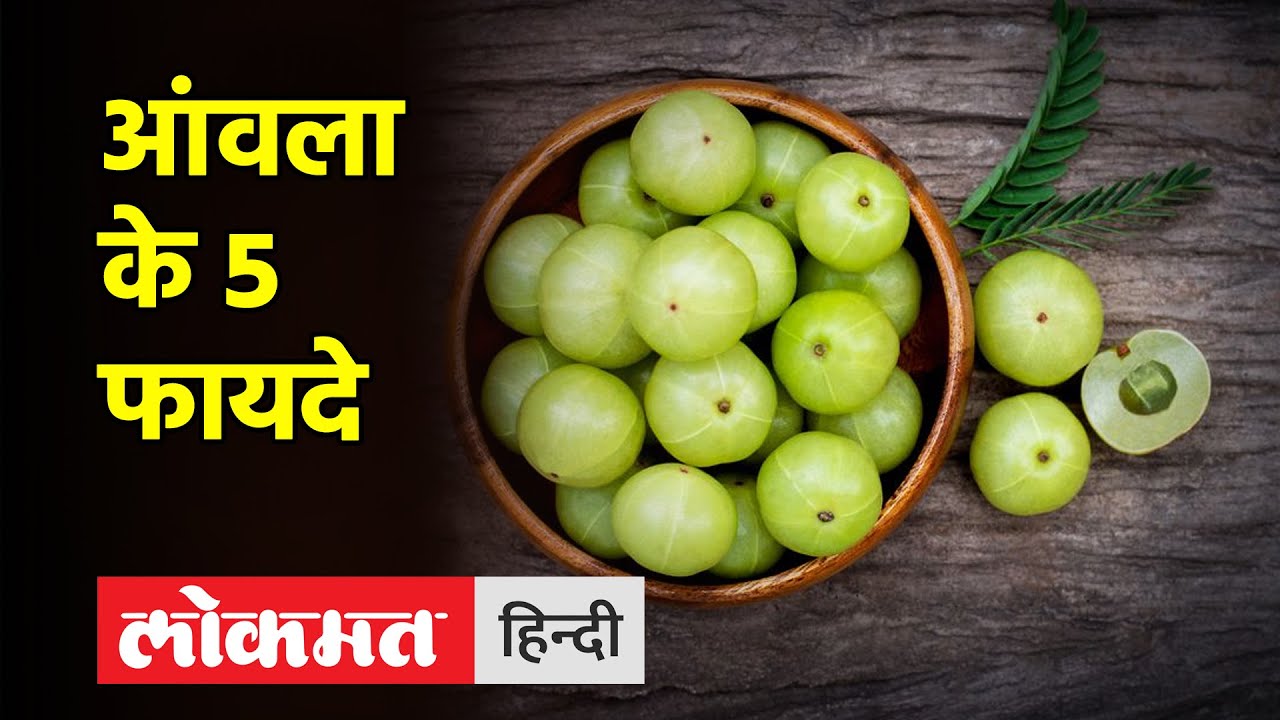 Health Tipsरोजाना आंवला खाने के 5 फायदे, उपयोग और औषधीय गुण । Amla