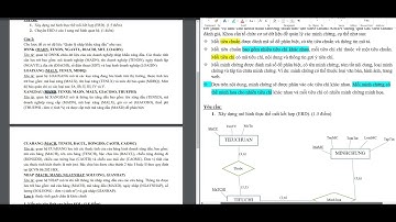 Giải Đề 1 Thi Giữa Kỳ I Cơ Sở Dữ Liệu 2022-2023 || Solve the midterm Database exam 2022-2023