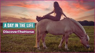 Vlog: Day in My Life | Horse Farm!