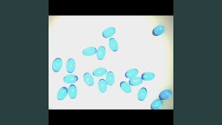 Video thumbnail of "Davey Saturn - Diphenhydramine"