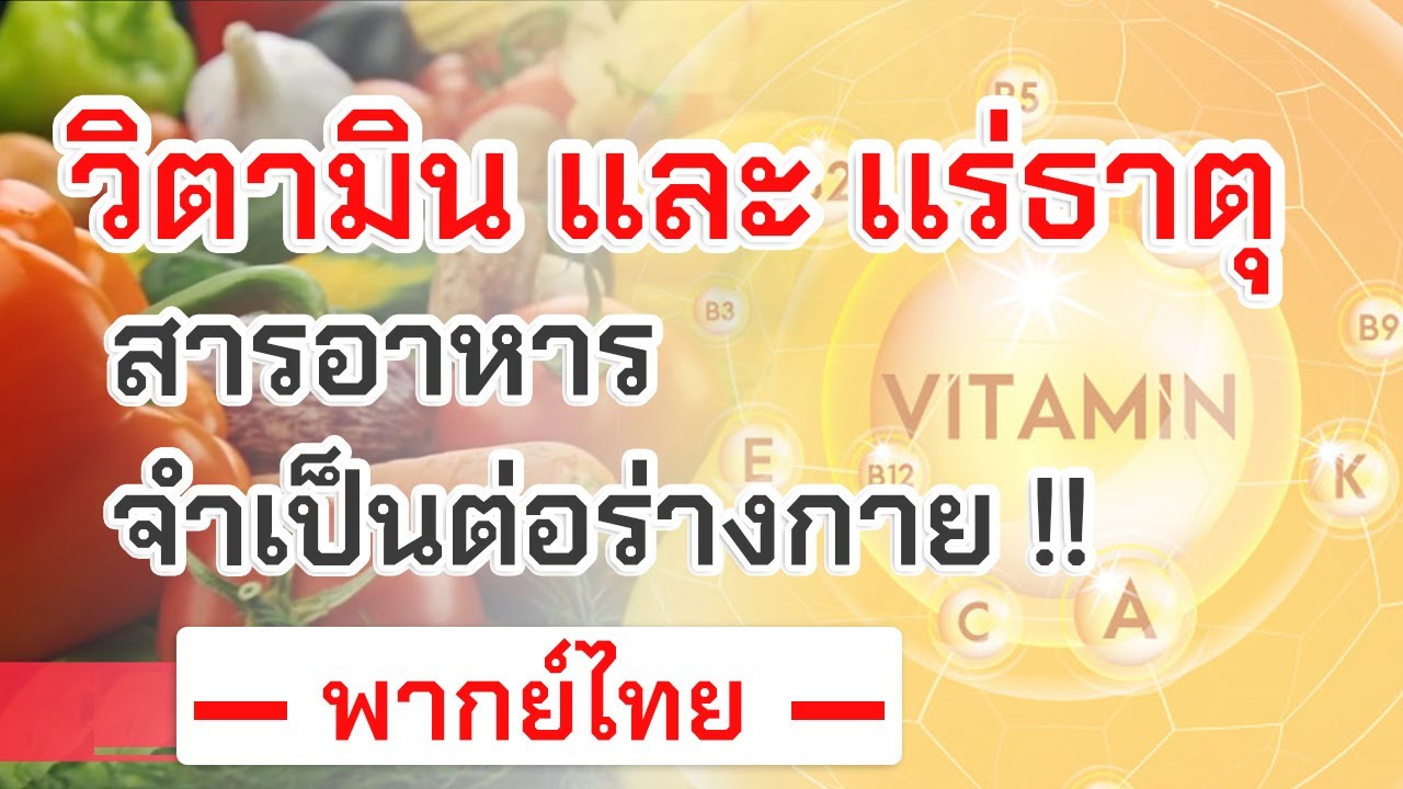 GelPlus MIN | วิตามิน เเร่ธาตุ สารอาหารที่จำเป็นทุกวัน รวมวิตามินเกลือแร่ธรรมชาติ 24 ชนิด [พากษ์ไทย]