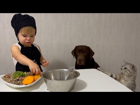 Baby Chef's Secret Recipe to Feed his Hungry Friends!