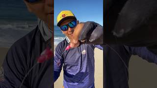 Chicote Para Pescar Pampo.