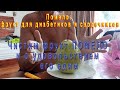 Фрукт Помело - чистим и едим