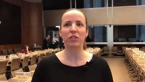 Certificates of origin, it is not as easy as you imagine.