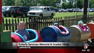 Butterflies released in honor of late loved ones