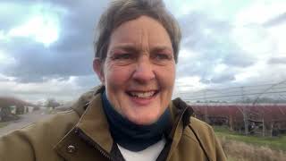 Walk n Talk- Happy New Year 2024 by Jo Cottrell - Dog Trouble 132 views 4 months ago 14 minutes, 24 seconds