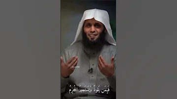 يارب ان عظمت ذنوبي كثرة منصور السالمي 
