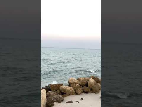 مد وجزر حرڪة لاتشمل البحر فقط بل حتی ارواحنا