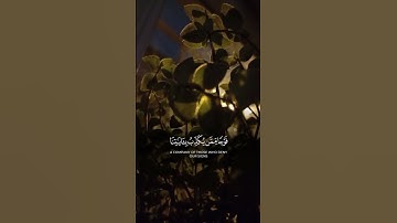 #اجر_لي_ولكم #ايقنت #اكسبلور #تلاوة_خاشعة #لايك #دويتو #oração #duet #راحة_نفسية #قرآن #islamicvideo