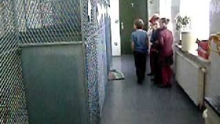 DSCF5940.AVI
