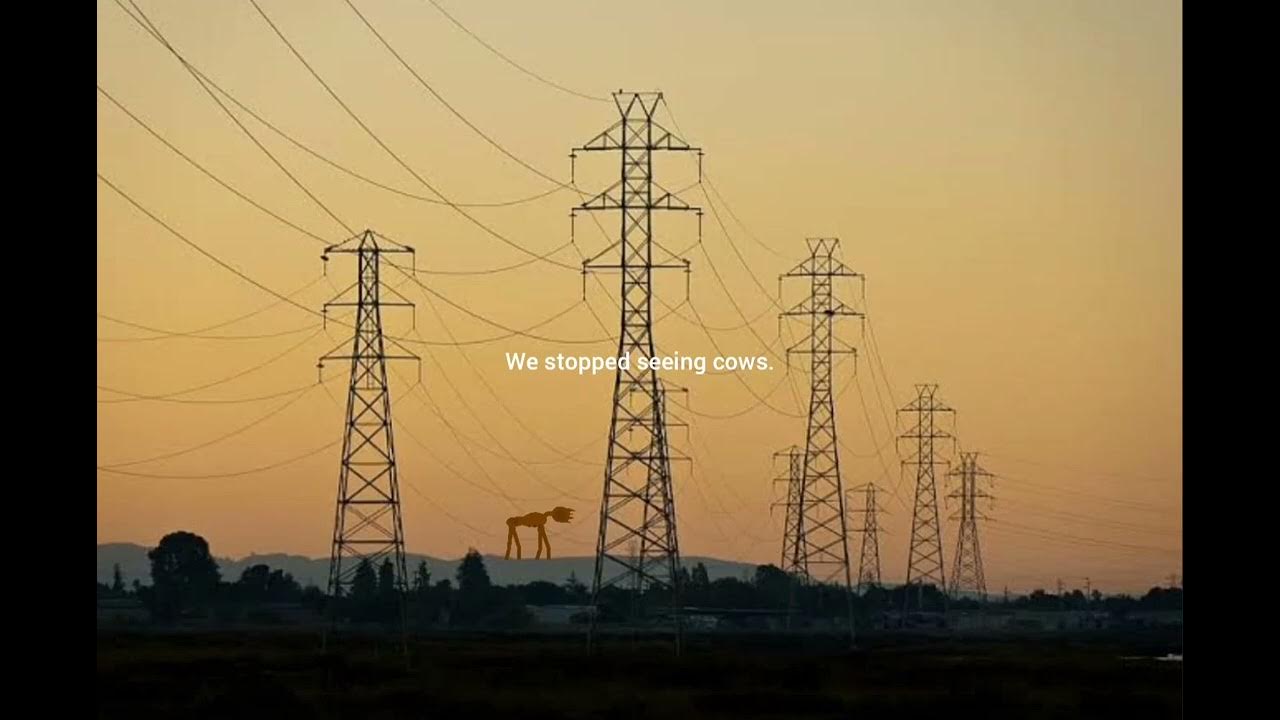 we-stopped-seeing-cows-youtube