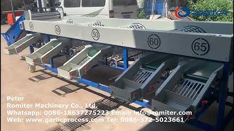 Automatic Garlic Size Sorting Grading Machine for Ukraine Customer