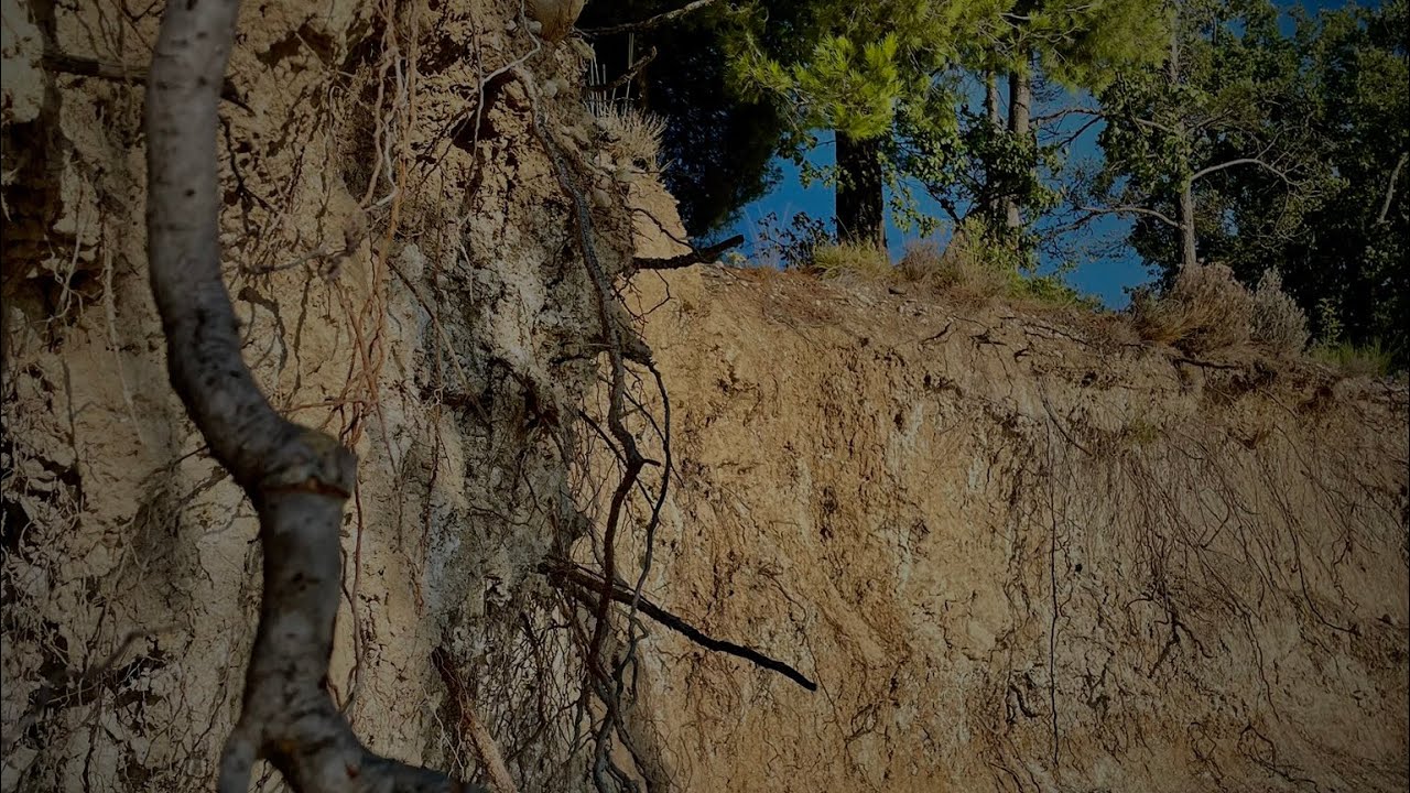 Psalm 50 Der rechte Gottesdienst ( Schlachter )