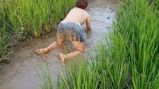 WOW Sexy Girl Fishing at battambang Province in cambodia Traditional Fishing(part61)