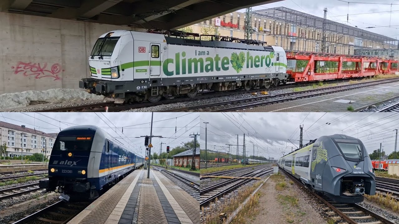 Zugverkehr in Regensburg Hbf am 14.9.2024