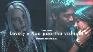 Lovely Nee Paartha Vizhigal Slowed Reverb - Remix