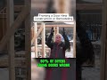 Framing a Door 🔨🚪 New Construction or Remodeling Made Easy
