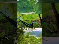 Ъ ШЇЩ Щ Щ ШіЩ ШіЩ Ш ШЄЩ ШЁЩ Щ ШёШ ШЄЩ Щ Шџ 🥺🠥🍀🌲🌳🌴🌿 Ъ ШЇЩ Щ Щ ШіЩ ШіЩ Ш ШЄЩ ШЁЩ Щ ШёШ ШЄЩ Щ Шџ 🥺🠥🍀🌲🌳🌴🌿