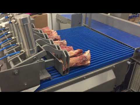 RB1 Automated Band Saw cutting bone