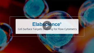 Cell Surface Targets Staining for Flow Cytometry