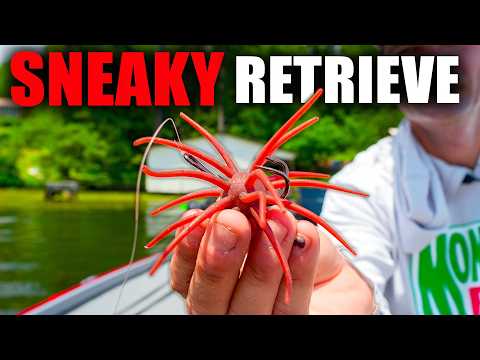 The NEW Coike Retrieve NO PRO Is Talking About