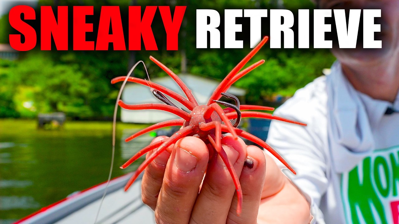 The NEW Coike Retrieve NO PRO Is Talking About