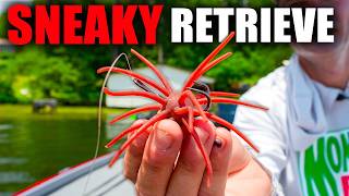 I Was Fishing Coike & Fuzzy Lures COMPLETELY WRONG