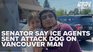 US senator says ICE agents sic attack dogs on Vancouver man