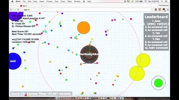 How to run an agar.io bot (patched)