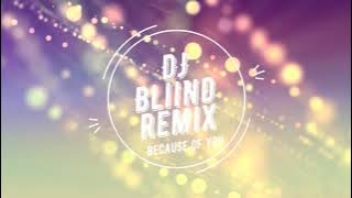 Kelly Clarkson - Because Of You (DJ BliiND remix)