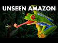 The 10 Most Unbelievable Frogs of The Amazon Rainforest | Documentary