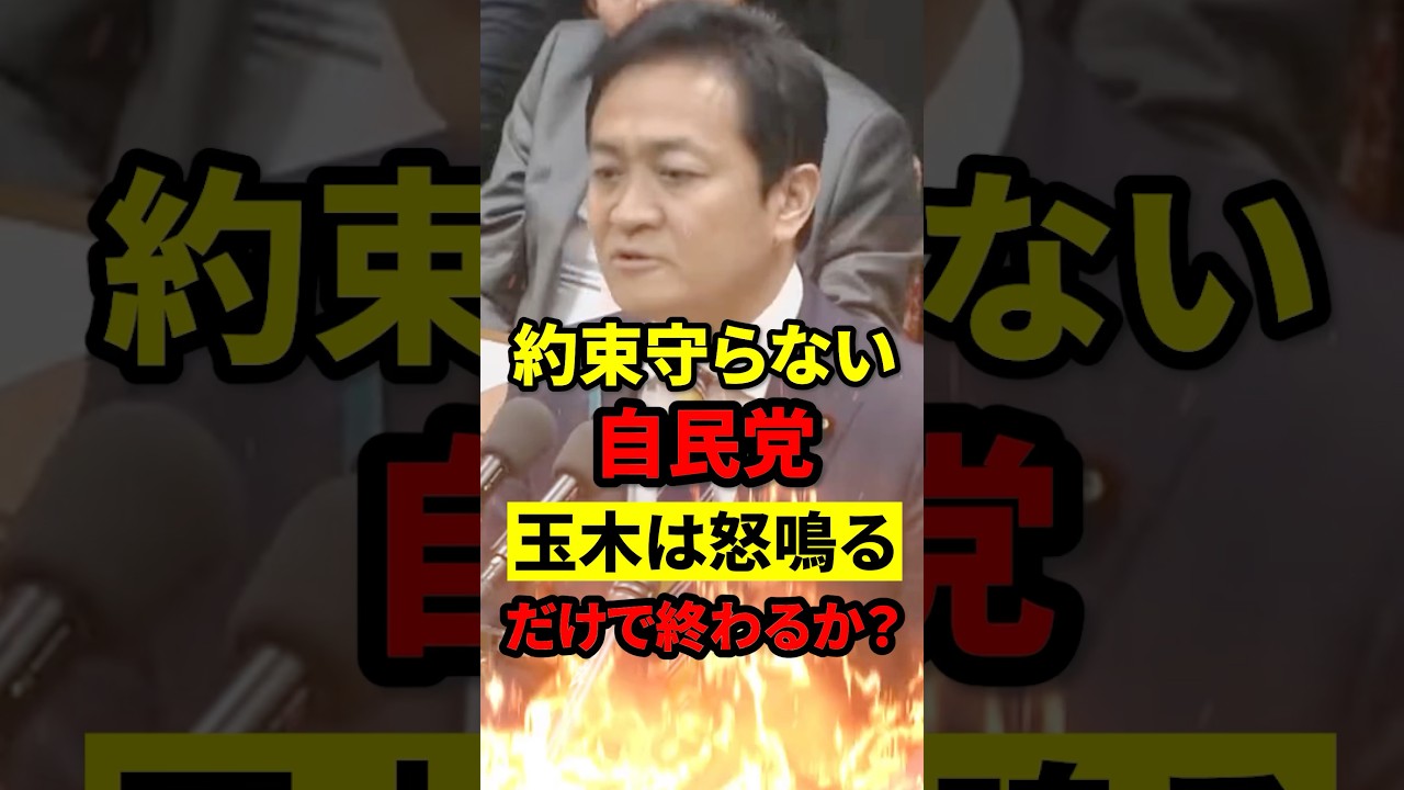 【口だけ減税劇場】玉木雄一郎「暫定税率いつ廃止すんだよ!」←で、あんた政権取る気ある? #政治 #玉木雄一郎 #もう国民は黙っていない