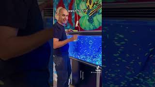 איך מפיקים את המקסימום מהצבע של דגי גלו פלורסנטיים?
