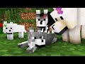 Wolf life the family  minecraft animation