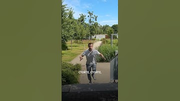 Заменит ли ИИ программистов