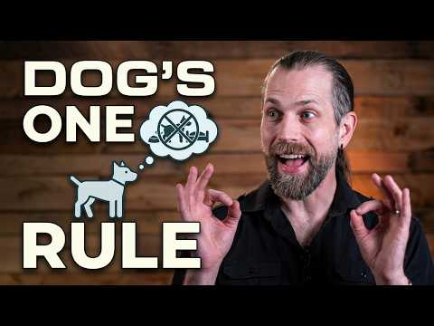 Potty Training a Puppy? Stop Ignoring This Rule