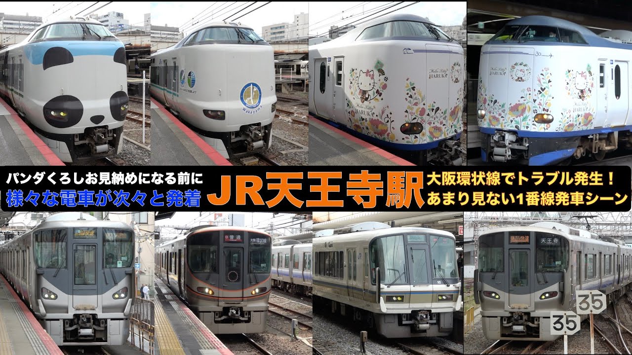 【JR】【4k】天王寺駅 ダイヤ乱れであまり見ない1番線に関空快速が発着 その他発着集