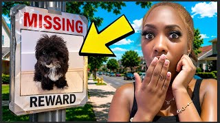 I Lost My Puppy (PRANK)… My Sister Couldn’t Stop Crying 😭 | Regena