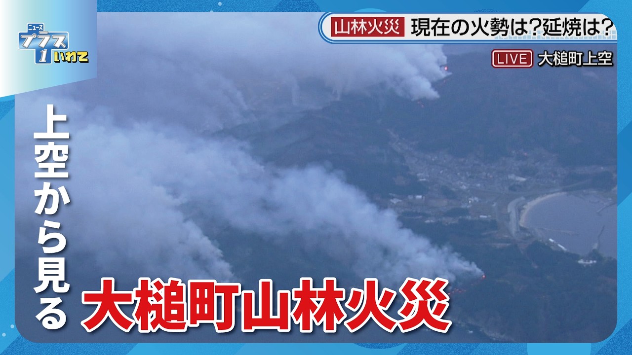 Otsuchi Town Forest Fire] What is the current situation? Report