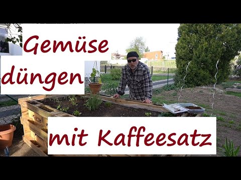Mit Kaffeesatz Gemse richtig dngen. Aber VORSICHT manche Pflanzen mgen  nicht zu viel Kaffeepulver