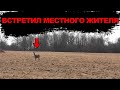 Новый сезон новые находки! Поиск монет металлоискателем 2020.