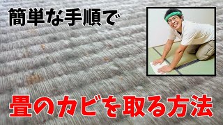 カビた畳を1,000枚以上処理した畳屋の経験に裏付けされた、簡単な手順で畳のカビを取る方法