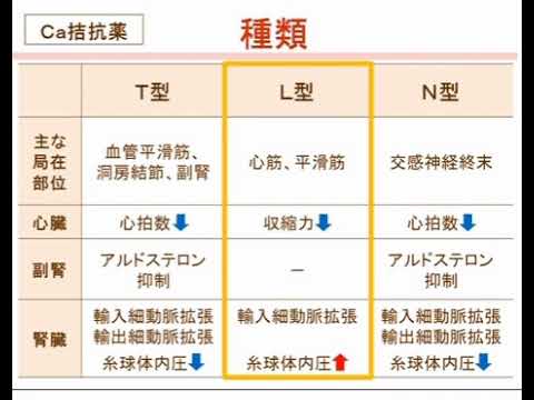 高血圧 　治療編　１－５　Ca拮抗薬