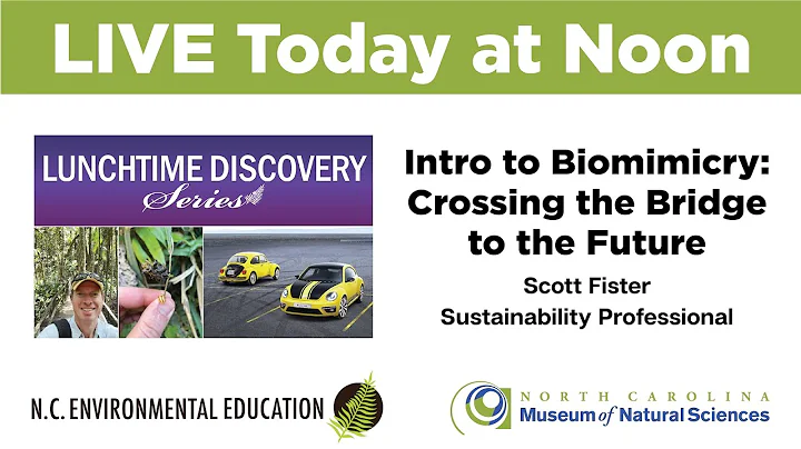 Lunchtime Discovery: Intro to Biomimicry: Crossing the Bridge to the Future