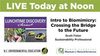 Lunchtime Discovery: Intro to Biomimicry: Crossing the Bridge to the Future
Scott Fister, Sustainability Professional
What is biomimicry? Bring your sense of natural wonder for an introduction to the potential opportunities of using natures genius as a guide to solving human problems. Discover how this interdisciplinary methodology could be applied to your profession or community to help grow a more regenerative future. Lunchtime Discovery: Intro to Biomimicry: Crossing the Bridge to the Future