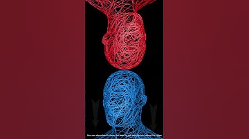 3D animated heads construction using 3D animated splines. Spline animation. #shotr #shorts