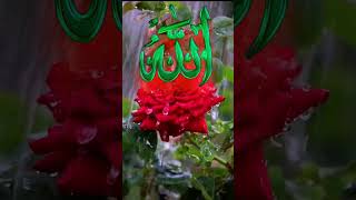 ধনী হওয়ার তাবিজ ✨islamicvideo সুবাহানআল্লাহ islamic viralvideo dua আমলওদোয়া youtubeshorts