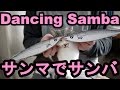 サンマでサンバ,Dancing Samba,cat25,funny cats-猫動画     Miomio &amp; Bibi